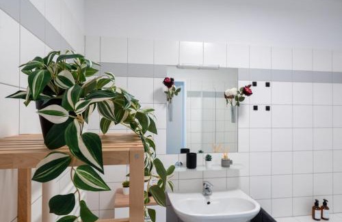 Wahring Apartamento | Dachgeschoss im Altbaustil