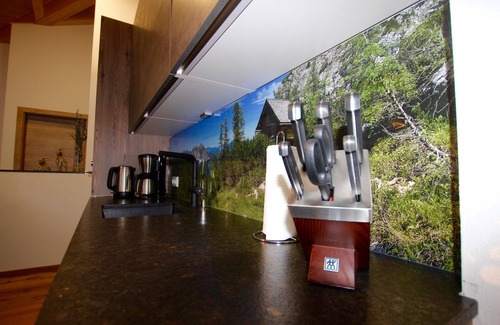Russbach am Pass Gschuett Casa | Dachstein Chalet Haus B in the Dachstein West- Hallstatt ski area
