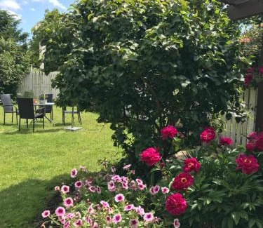 Store Heddinge Cama Y Desayuno | Dadas Bed & Breakfast