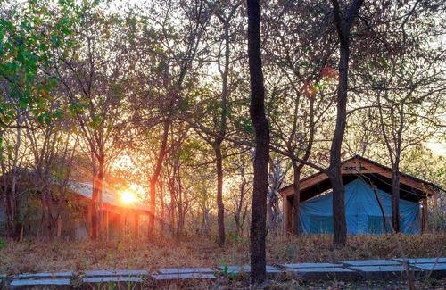 Morogoro Cama Y Desayuno | Daga Camp - Wonderful bed & breakfast with AC in Mikumi