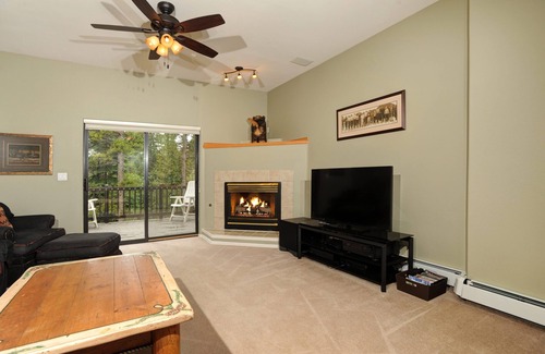 Peak 8 Cabina | DAILY WILDLIFE - MOOSE, BEAR, DEER, RACCOON, PORCUPINE - 3BR/3BA SKI IN/SKI OUT
