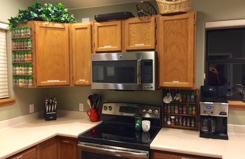 Peak 8 Cabina | DAILY WILDLIFE - MOOSE, BEAR, DEER, RACCOON, PORCUPINE - 3BR/3BA SKI IN/SKI OUT
