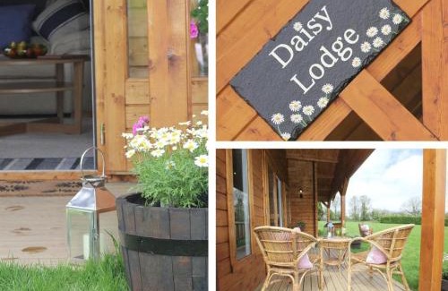 Liskeard Casa | Daisy Lodge