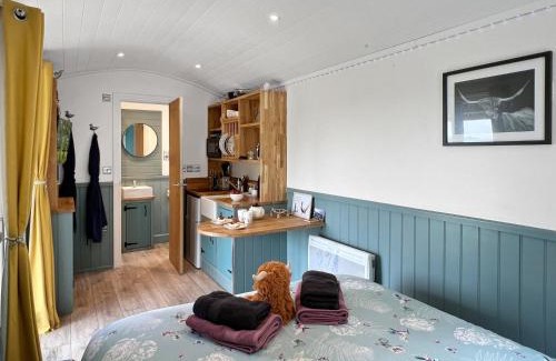 South Molton Cabina | Daisy Shepherds Hut