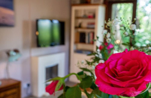 Skelwith Bridge Cabina | Dalehead Tarn Lodge - Situated in a Woodland Estate (Dog-friendly)