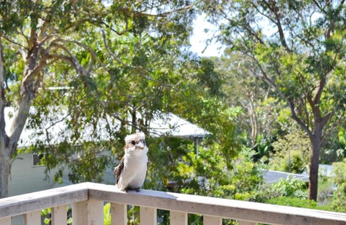 Arakoon Casa | Dalesview Retreat - Bring your own linen