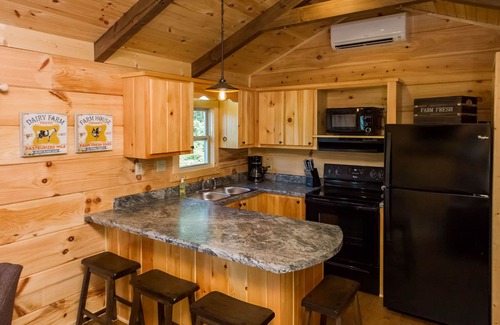 Mill Spring Cabina | Dali's Den Tiny House Rental 3 Miles to TIEC