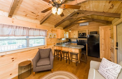 Mill Spring Cabina | Dali's Den Tiny House Rental 3 Miles to TIEC