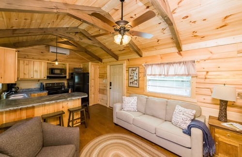 Mill Spring Cabina | Dali's Den Tiny House Rental 3 Miles to TIEC