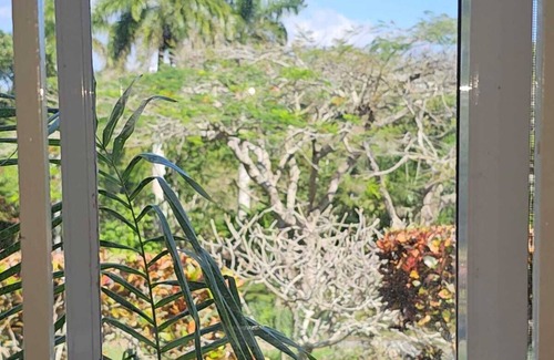 Porus Cabaña | Dalkeith Greathouse-Saltwater Pool ,Lush Gardens & Free Wifi Available