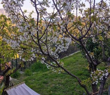 Pitelli Apartamento | Dalla Isi il giardino sul golfo
