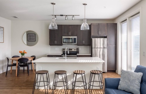 Northeast Dallas Apartamento | Dallas Modern 1BD 1BA Apartment