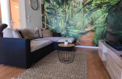 Bras de Pontho Apartamento | Damaniel * Ze Détente * Jacuzzi*