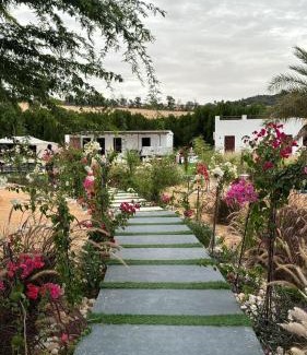 Liwa Complejo | Damas Resort