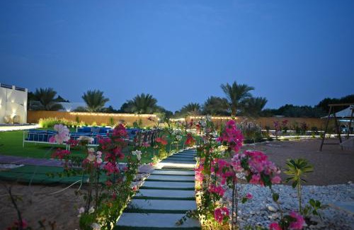 Liwa Complejo | Damas Resort