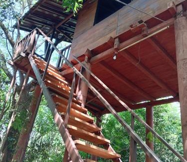 Dambulla Cabina | Dambulla Tree House