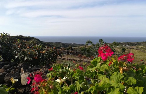 Pantelleria Casa | DAMMUSO NATURA