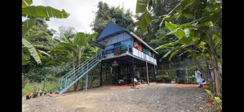 Mannarkkad Apartamento | damora