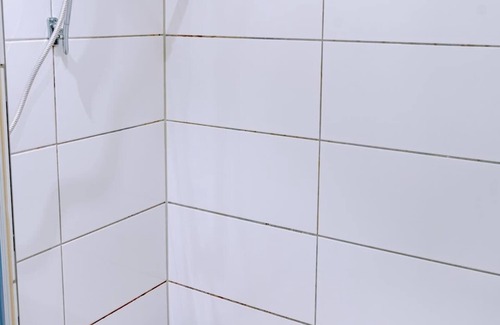 Warnemuende Apartamento | Dampfer Summary: Comf