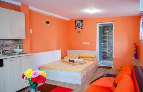 Sapareva Banya Casa | Danailovi Guest House
