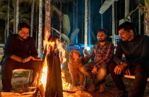 Dandeli Complejo | Dandeli Green Adventure Resort
