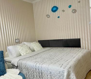 Panevezys Apartamento | Dani apartment