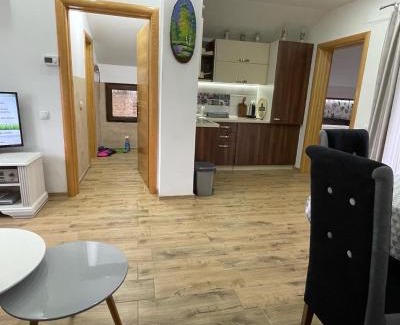 Vrdnik Apartamento | Dani apartment