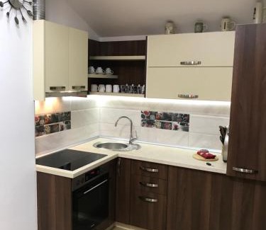 Vrdnik Apartamento | Dani apartment