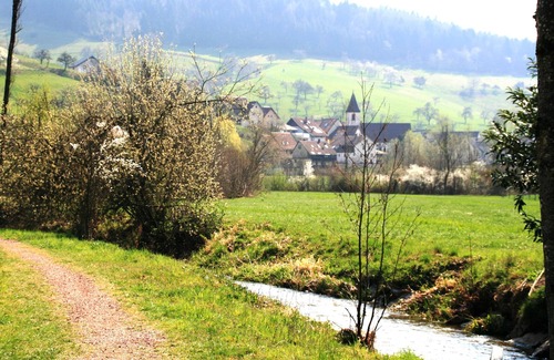 Freiamt Apartamento | Dani's vacation apartment Experience nature & activity