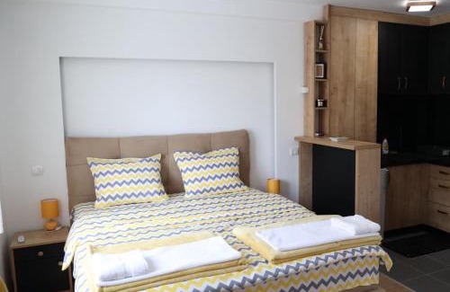 Gornji Milanovac Apartamento | Danica apartman