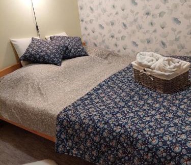 Zsorifurdo Apartamento | Daniella Vendégház