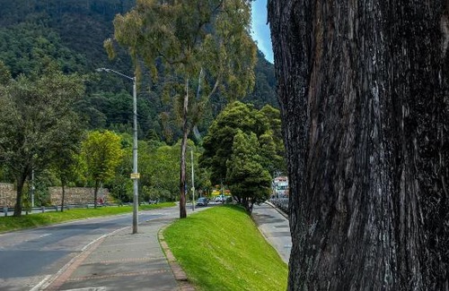 Bogota Apartamento | Daniels property