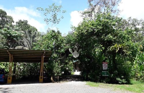 Palma Cabina | Danta Corcovado Lodge