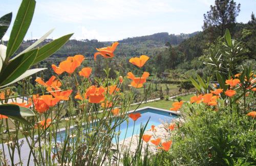 Povoa de Lanhoso Casa | Dantas Village