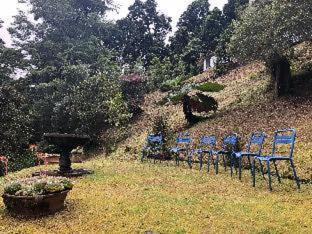 San Gerardo de Dota Cama Y Desayuno | Dantica Cloud Forest Lodge