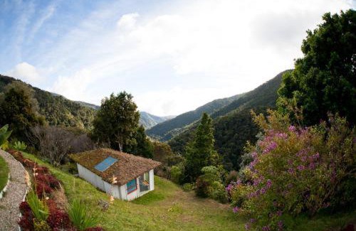 San Gerardo de Dota Cama Y Desayuno | Dantica Cloud Forest Lodge