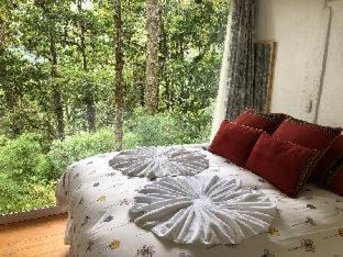 San Gerardo de Dota Cama Y Desayuno | Dantica Cloud Forest Lodge