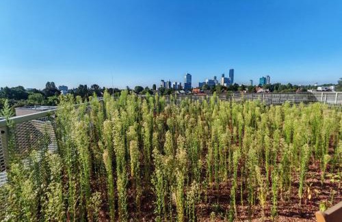 Donaustadt Apartamento | Danube Refugium