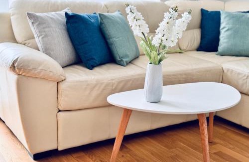 Kaisermuhlen Apartamento | Danube22 Apartment