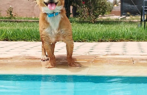 District of Sidi Youssef Ben Ali Villa | DAR SMAWAR top piscina climatizada a 15 min del centro