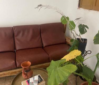 Shoul Casa | Dar Tawess
