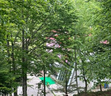 Korce Hotel | Dardha INN