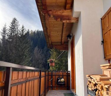Santo Stefano di Cadore Apartamento | DaRenato