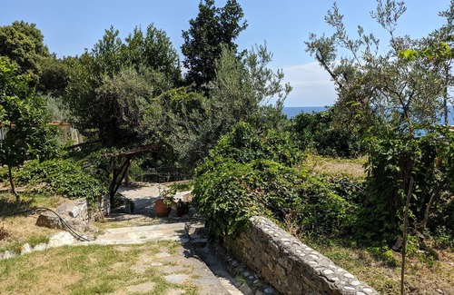 Zagora-Mouresi Casa | Daria's home at Pelion