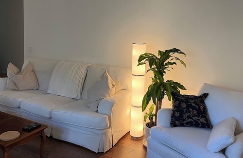 Darien Cabaña | Darien, Fort King George area, perfect for 'snowbirds.' 2 bed 2 bath