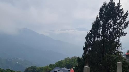 North Point Casa | Darjeeling Dreams Homestay