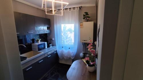 Emanoil Gojdu Apartamento | Darlar Loft