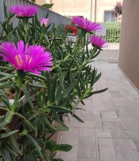 Ravenna Apartamento | Darsena b&b tra arte e mare