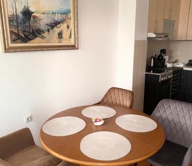 City Center Apartamento | DarViva Apartment Niš, center, private garage parking, river view