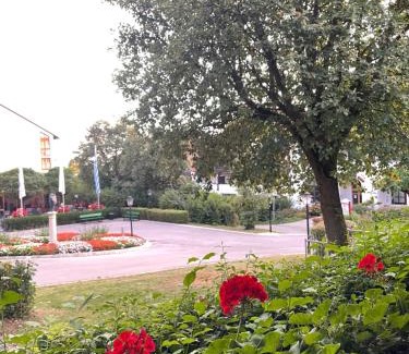 Bad Griesbach-Therme Apartamento | Das CLASSIQUE Galerieappartement - Wohlfühlen auf zwei Etagen, TV, ruhiger Balkon, Poseidon Therme im Haus, sowieso Kinder und Vierbeinerfreunde willkommen, Parkgarage